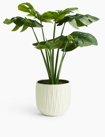 Zolu Artificial Plant